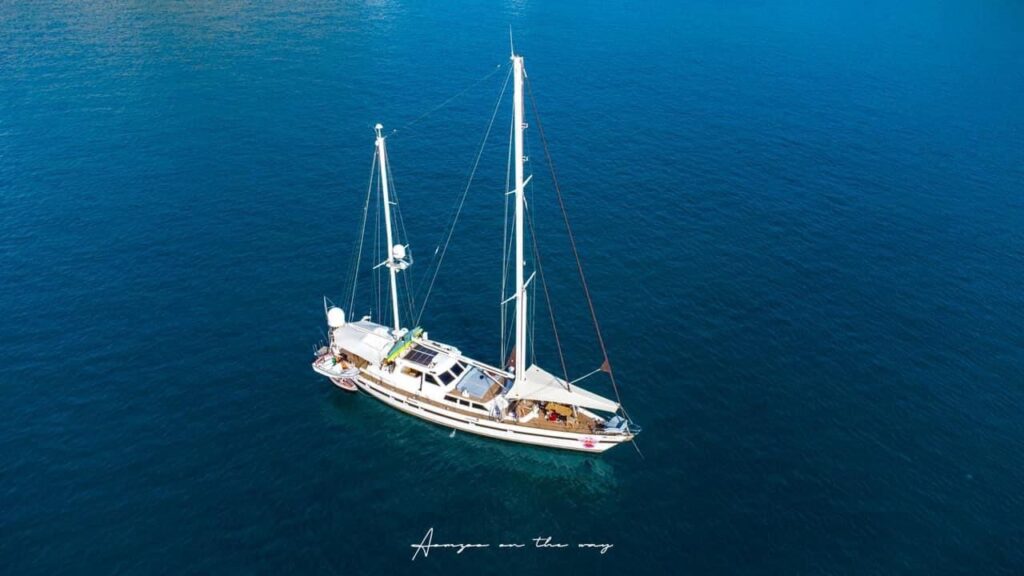 Born Free 85ft