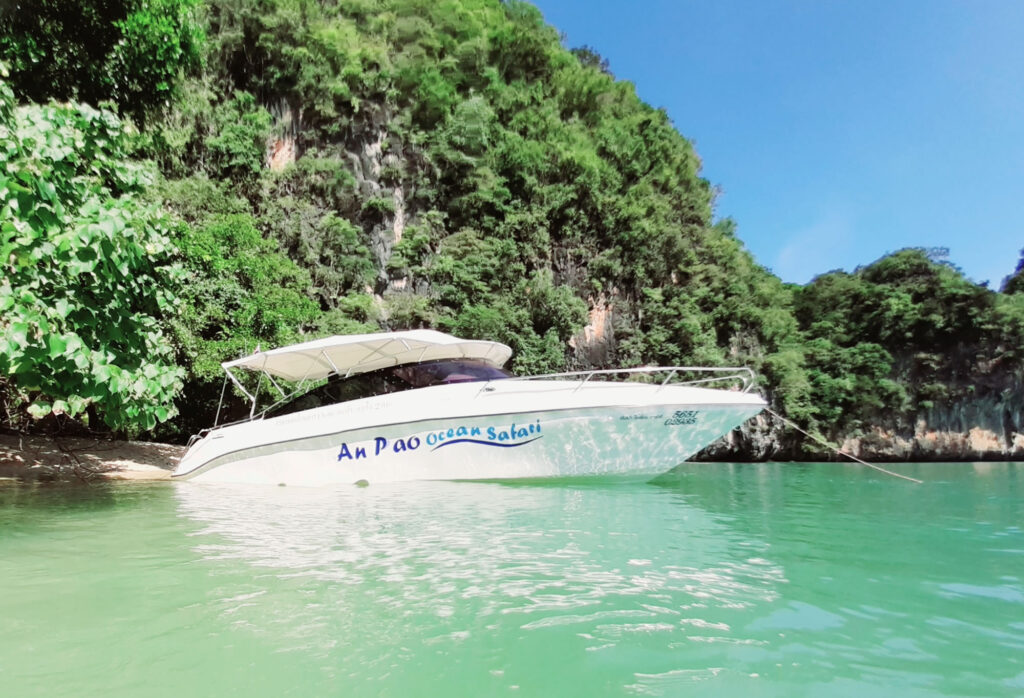 Ocean Safari 3